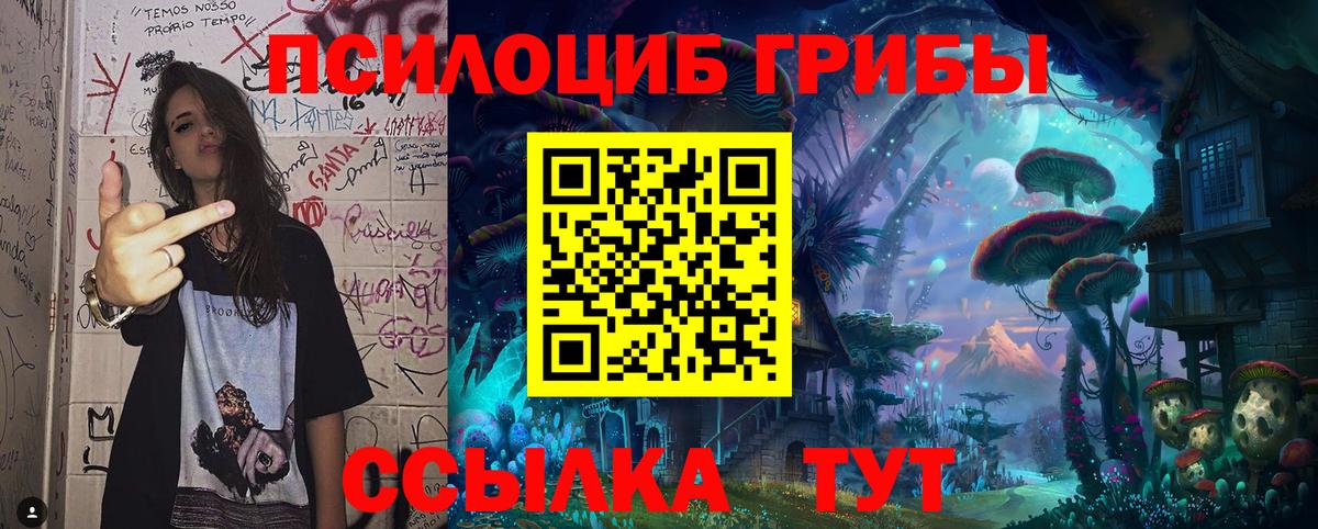 Галлюциногенные грибы MAGIC MUSHROOMS Корсаков